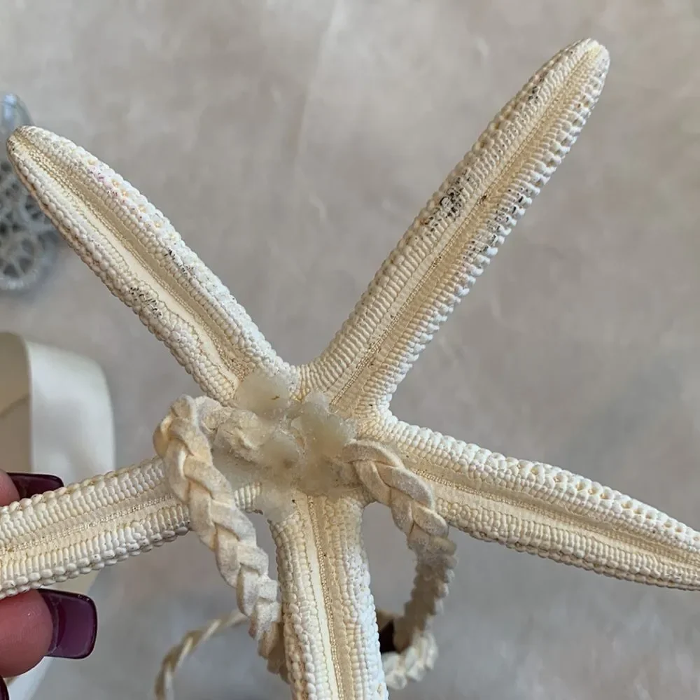 Lot of Four Headbands Cream and Silver Theme Starfish Faux Pearl Lace